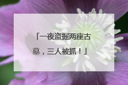 一夜盗掘两座古墓，三人被抓！